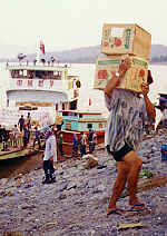 Apples from China, photo 1.  (8.2 K)